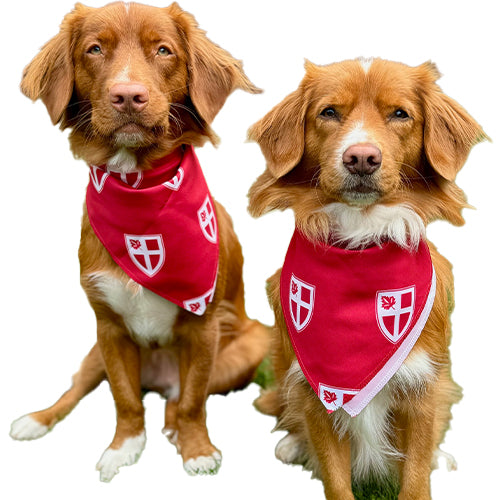 St. George's Bandana